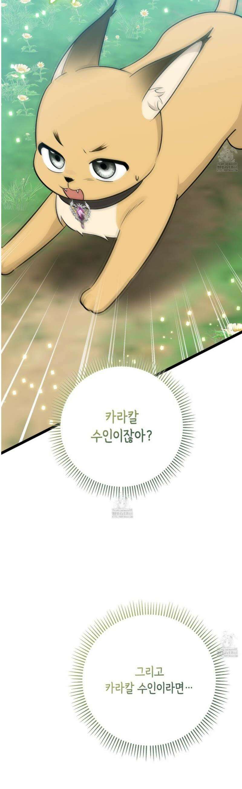 토끼라뇨, 누가 봐도 맹수인데 31화 7