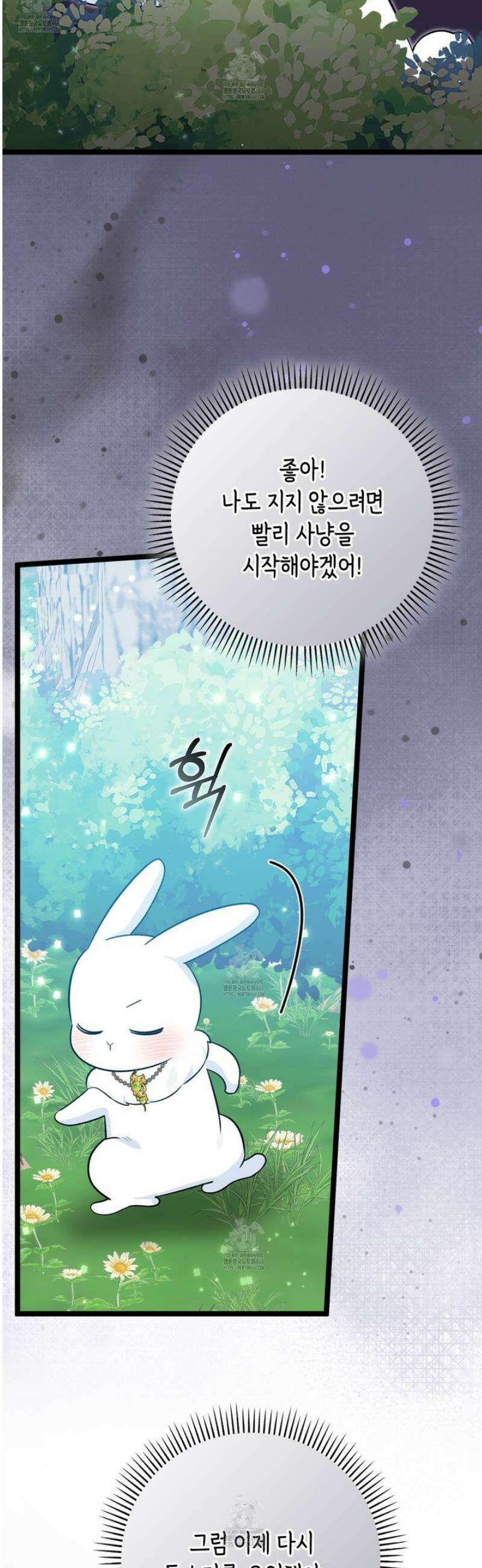 토끼라뇨, 누가 봐도 맹수인데 31화 9