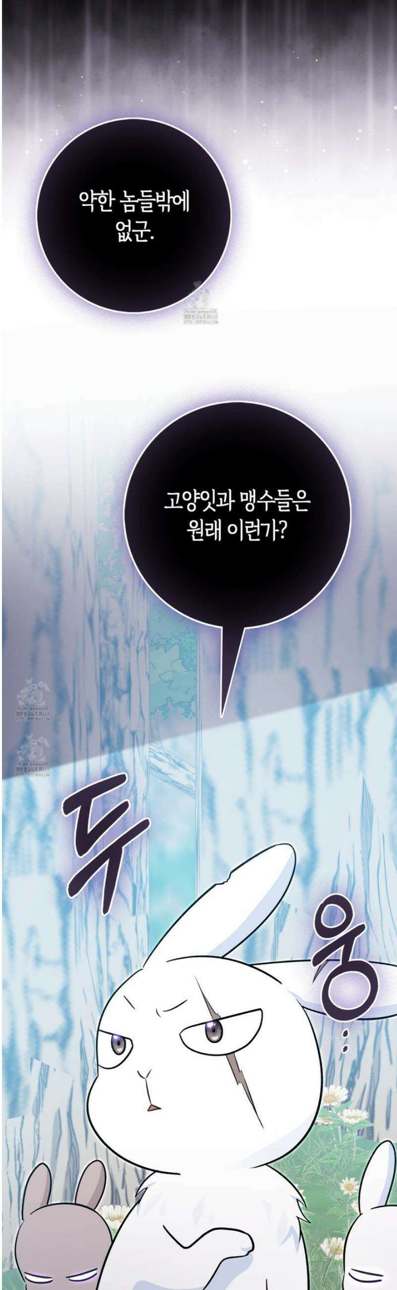 토끼라뇨, 누가 봐도 맹수인데 31화 14