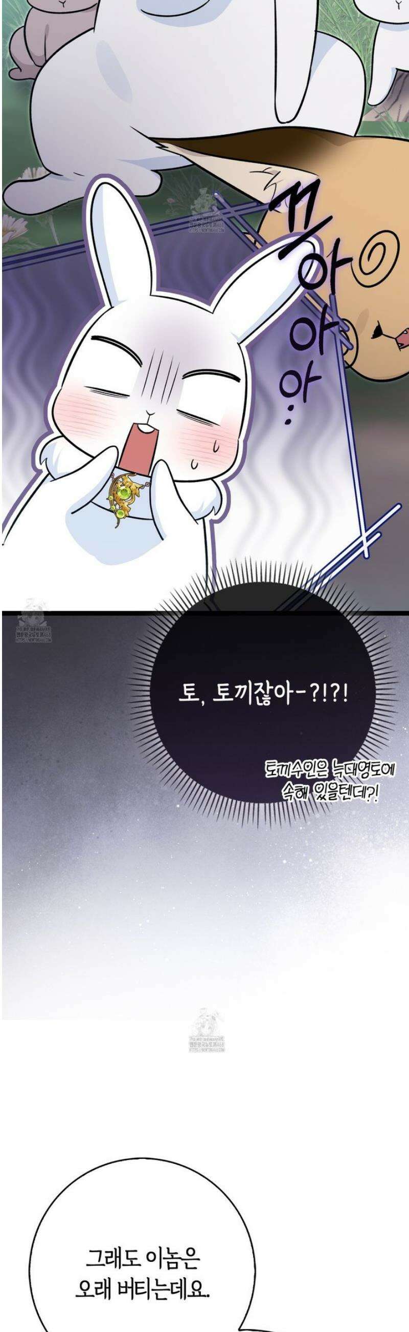 토끼라뇨, 누가 봐도 맹수인데 31화 15