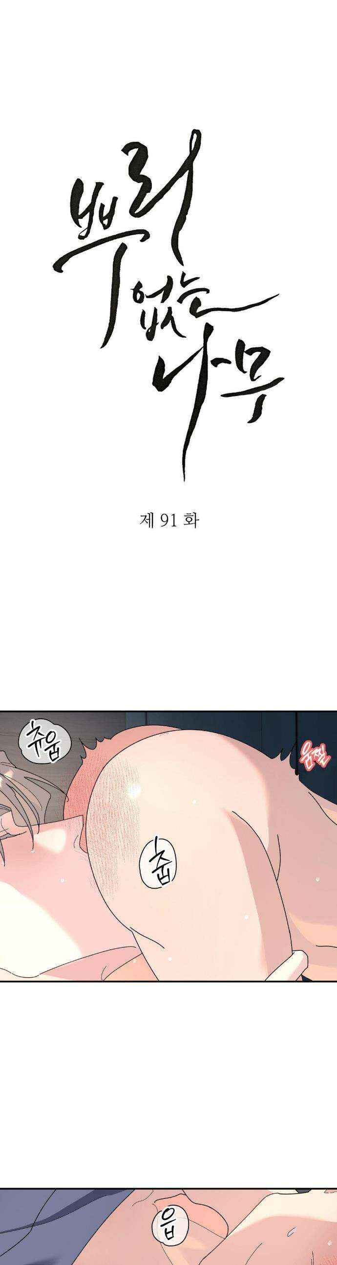 뿌리 없는 나무 91화 1