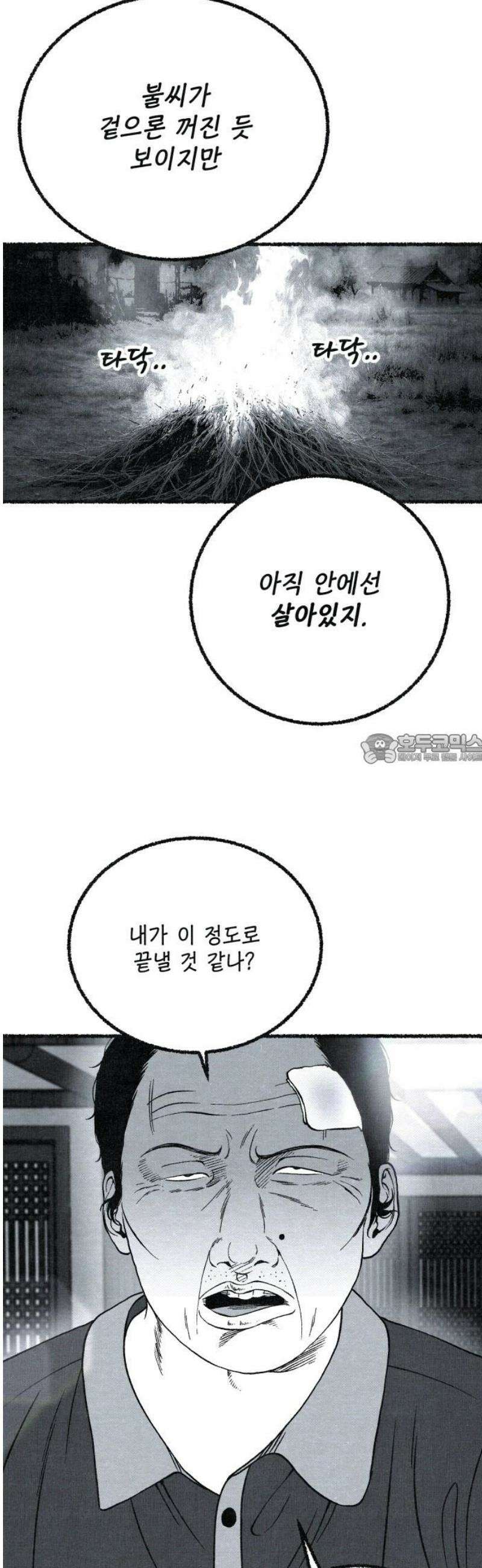 벌집 83화 43