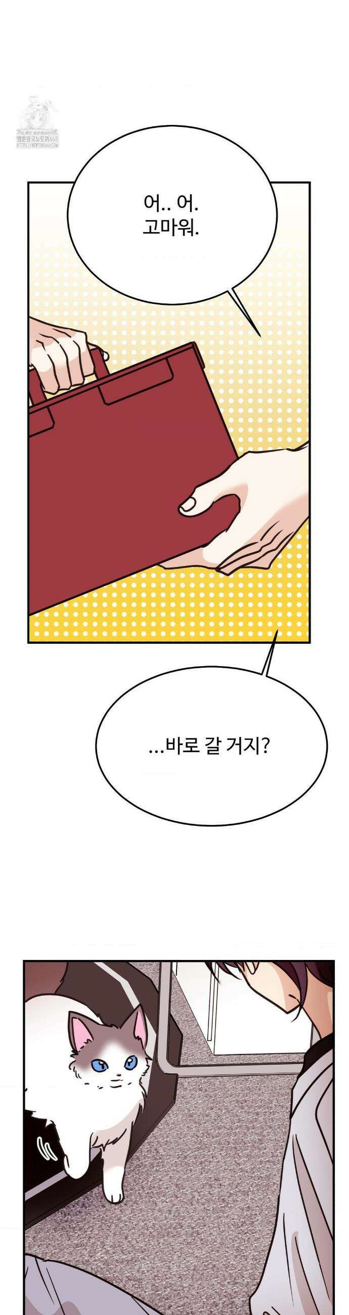 타의적 로맨스 43화 8
