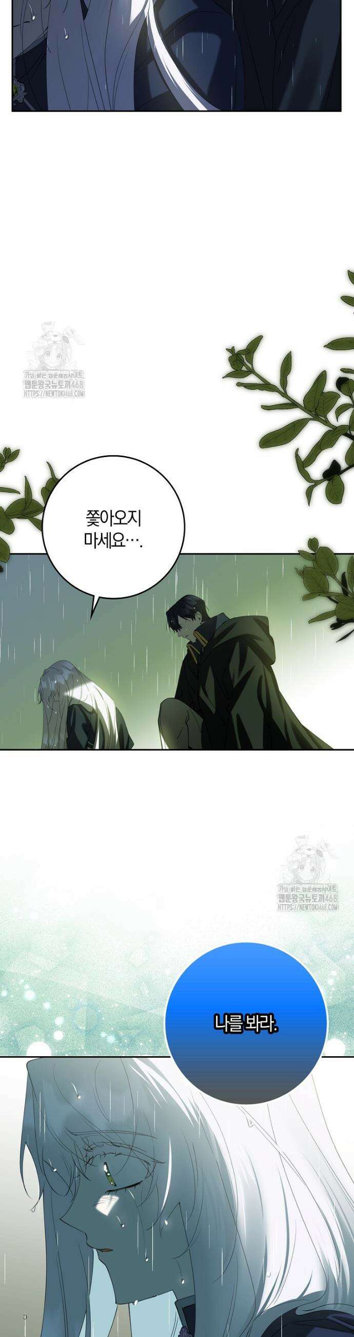 마녀의 아들을 지키는 이유 87화 5