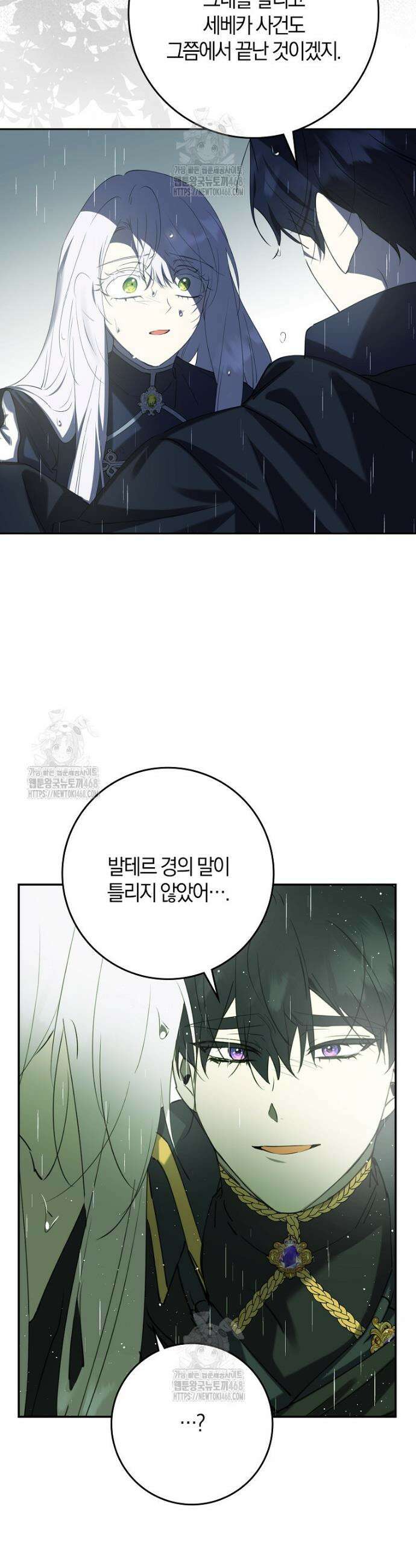 마녀의 아들을 지키는 이유 87화 19