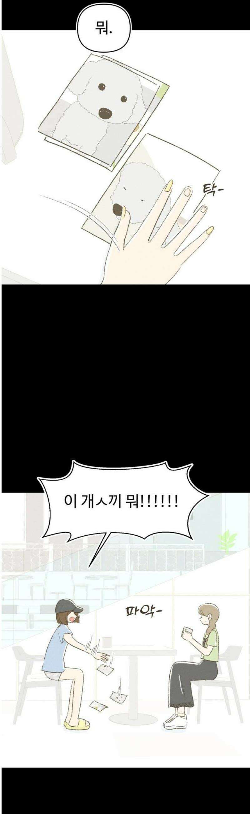 캠퍼스의 로망 25화 8