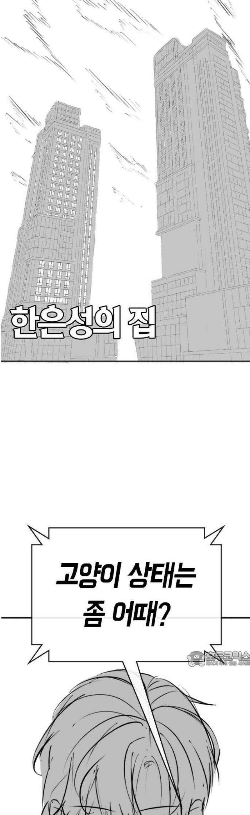 현실퀘스트 특별편 : 고양이의 언어 2