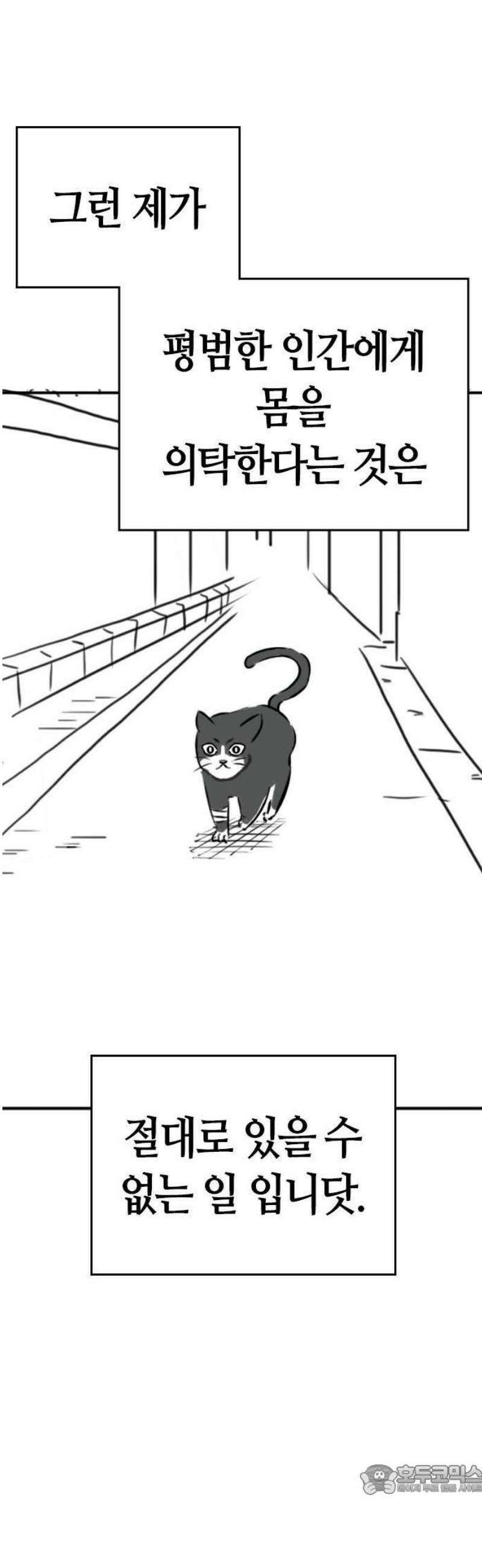 현실퀘스트 특별편 : 고양이의 언어 9