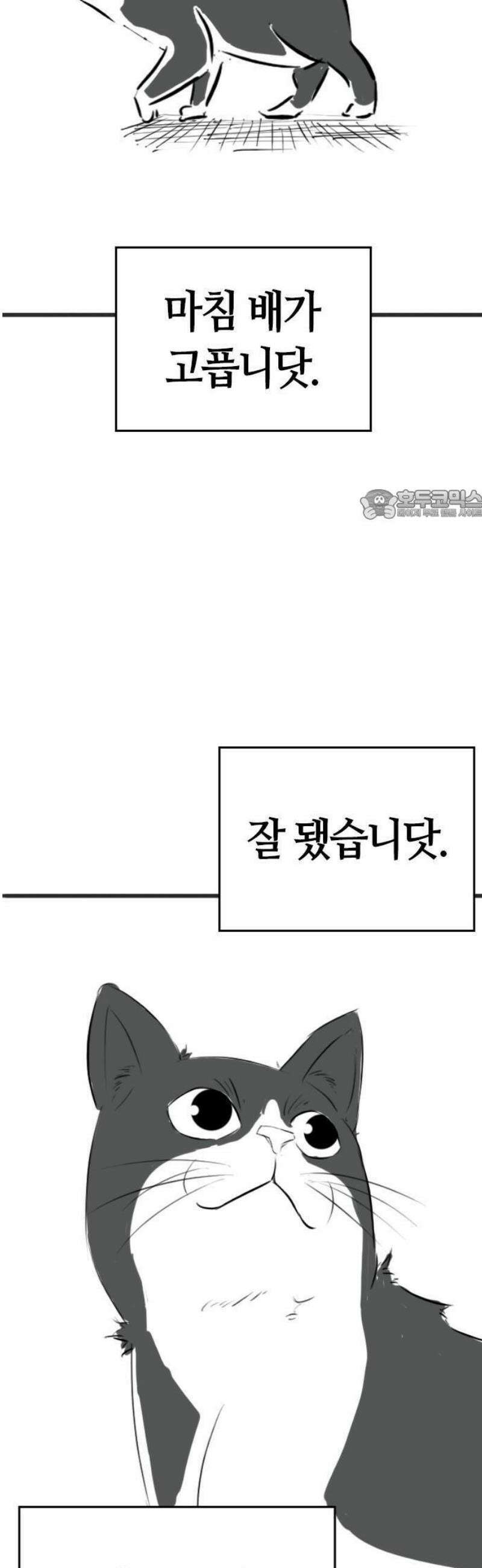 현실퀘스트 특별편 : 고양이의 언어 12