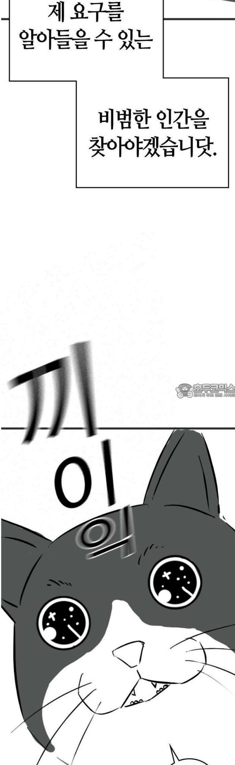 현실퀘스트 특별편 : 고양이의 언어 13