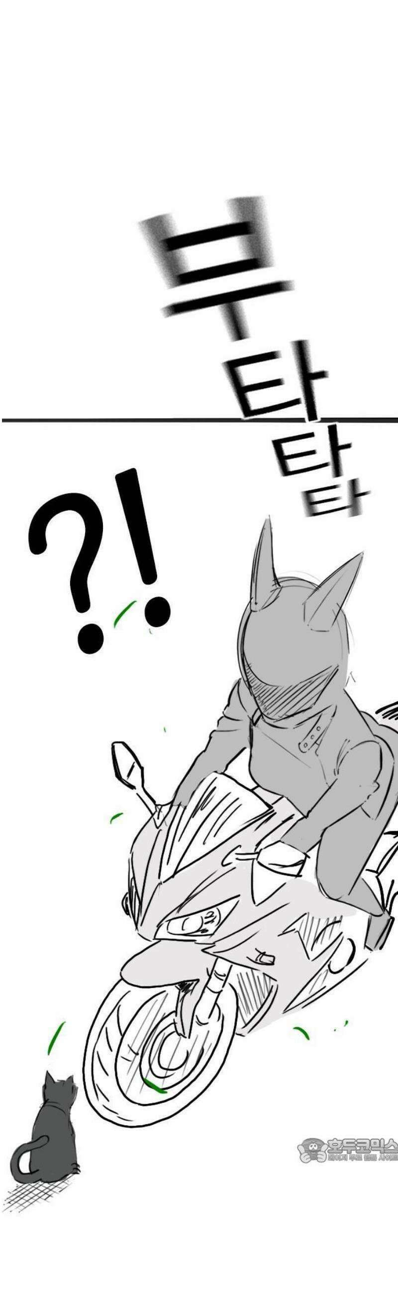 현실퀘스트 특별편 : 고양이의 언어 15