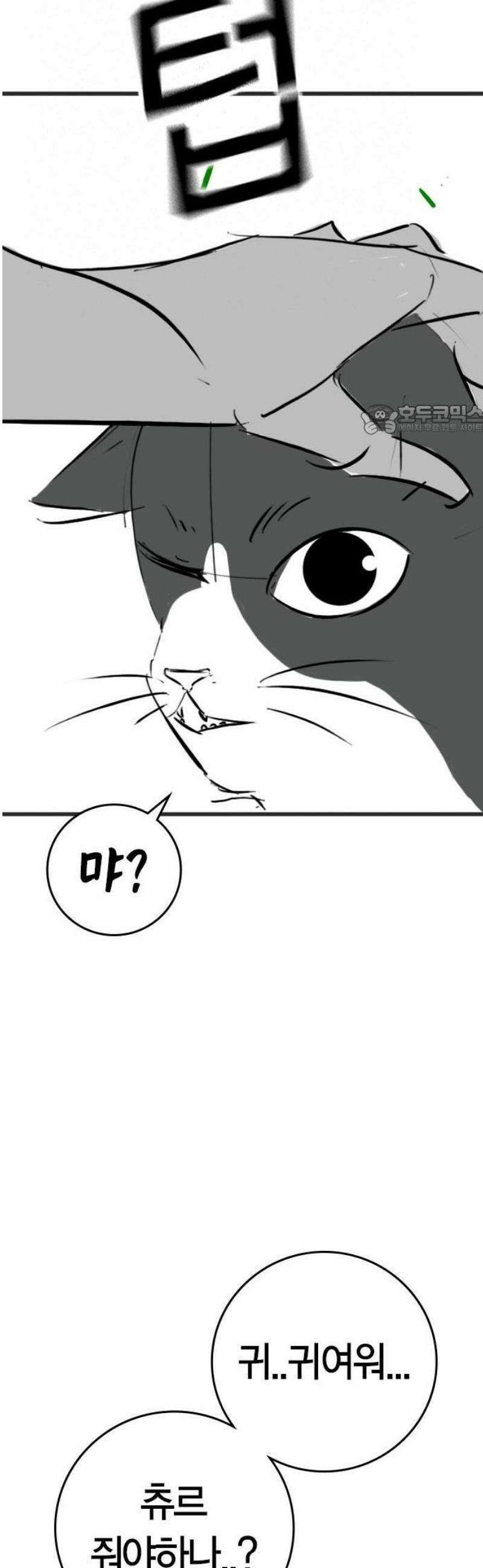 현실퀘스트 특별편 : 고양이의 언어 18