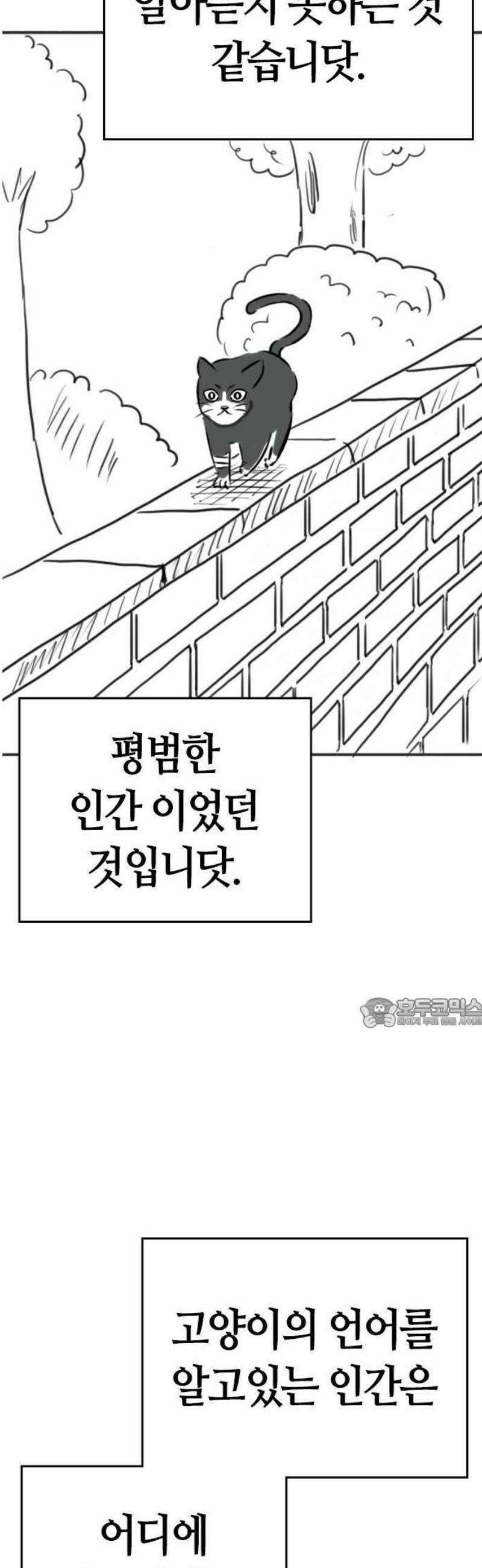 현실퀘스트 특별편 : 고양이의 언어 20