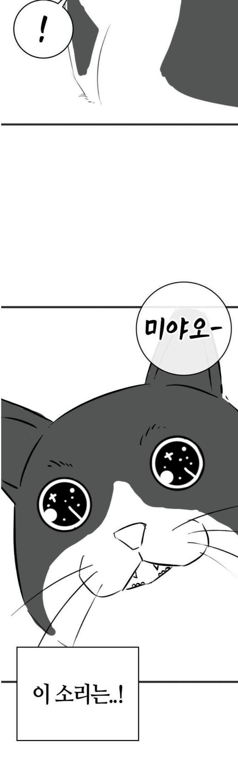 현실퀘스트 특별편 : 고양이의 언어 22