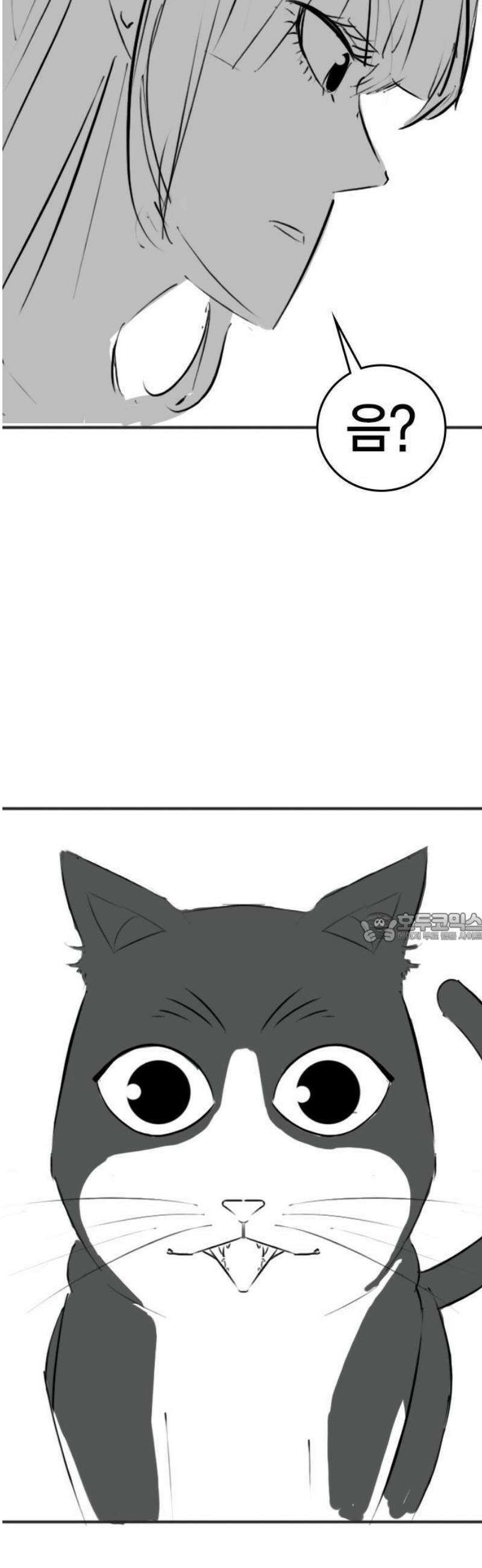 현실퀘스트 특별편 : 고양이의 언어 26