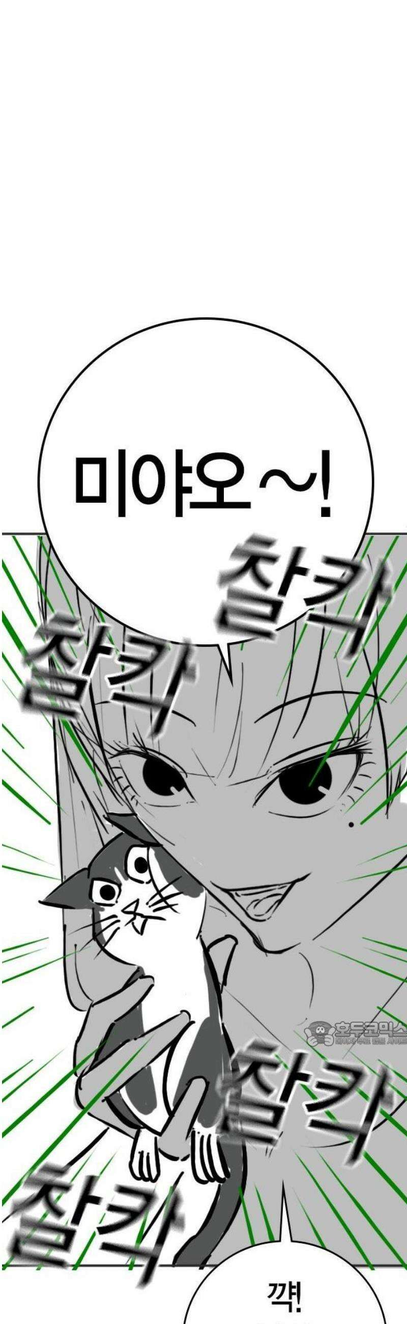 현실퀘스트 특별편 : 고양이의 언어 27