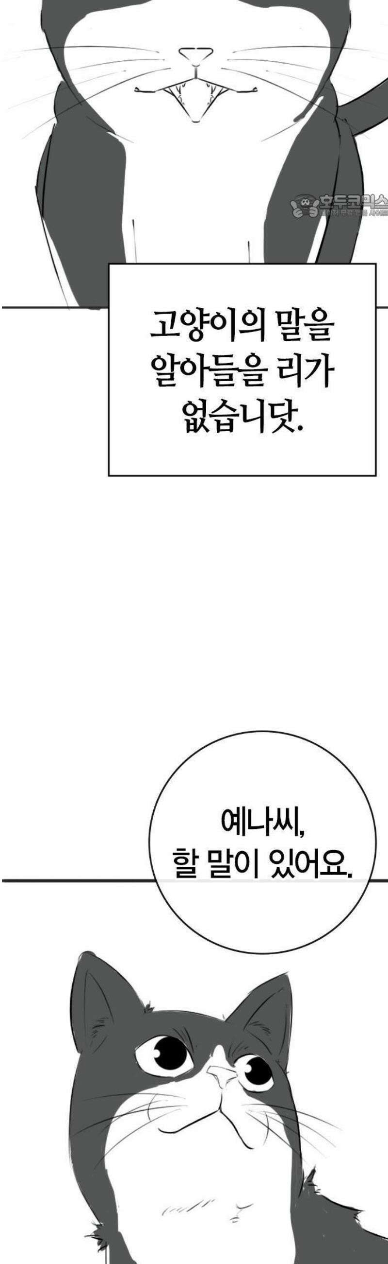 현실퀘스트 특별편 : 고양이의 언어 30