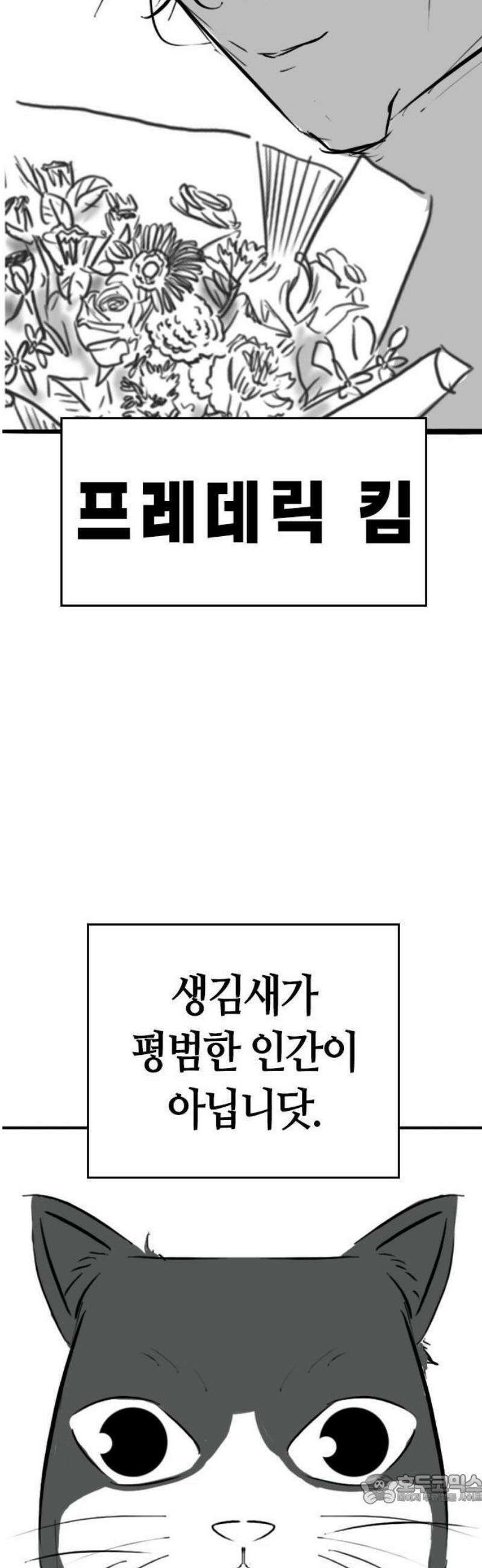 현실퀘스트 특별편 : 고양이의 언어 34