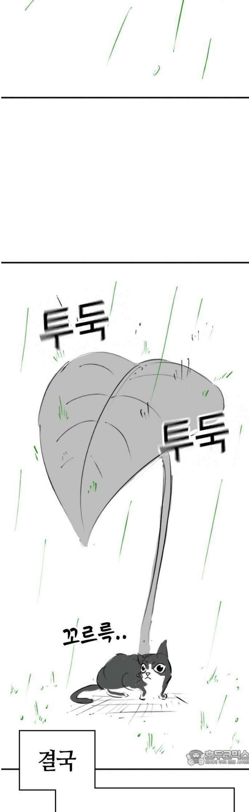 현실퀘스트 특별편 : 고양이의 언어 40