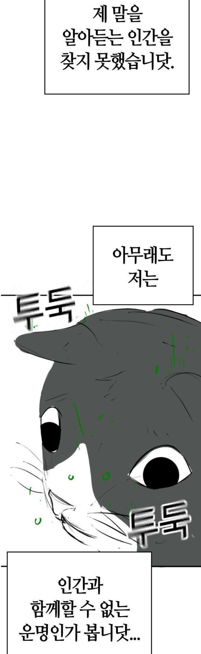 현실퀘스트 특별편 : 고양이의 언어 41