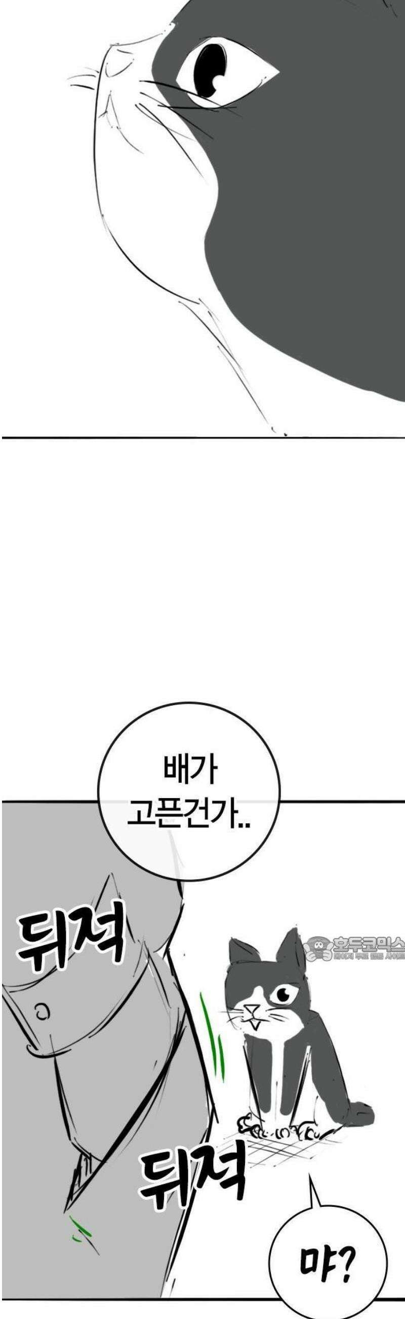 현실퀘스트 특별편 : 고양이의 언어 45