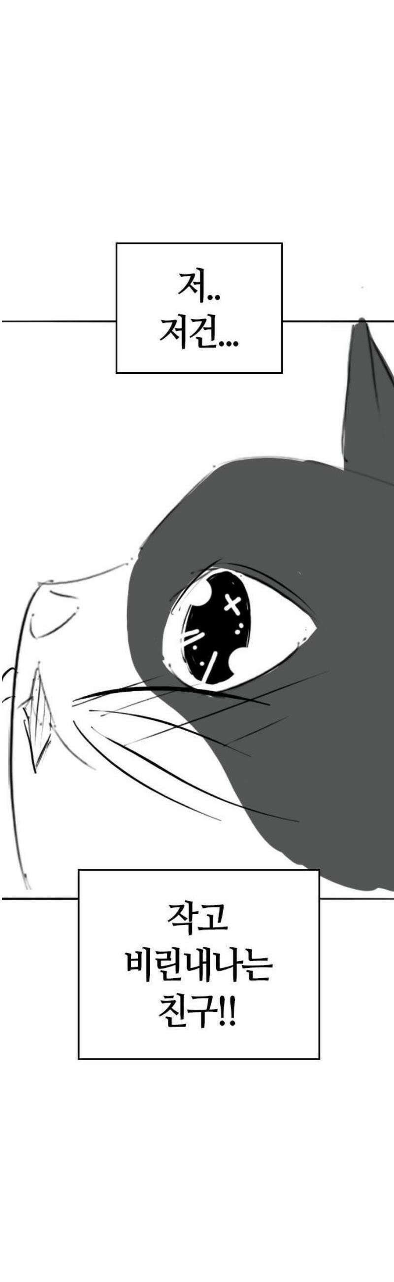 현실퀘스트 특별편 : 고양이의 언어 47