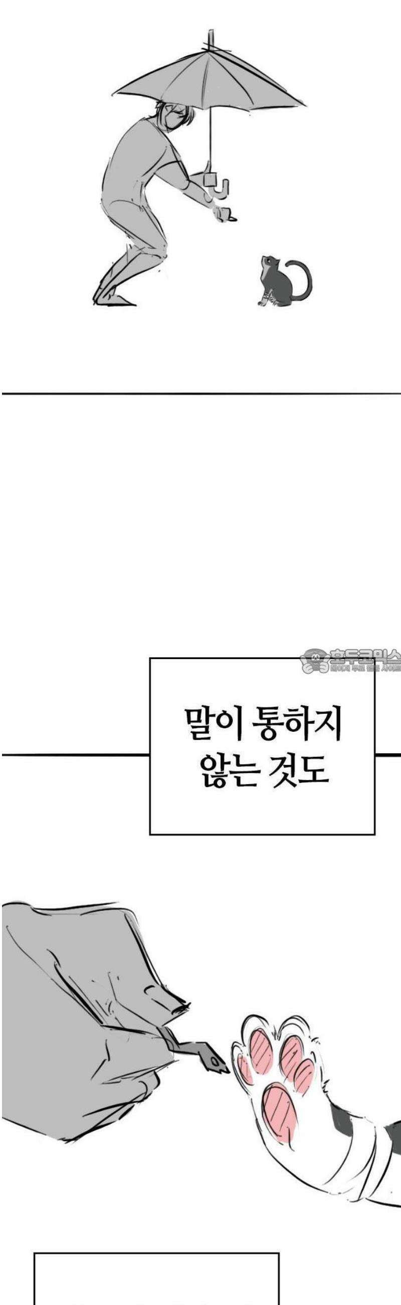 현실퀘스트 특별편 : 고양이의 언어 50
