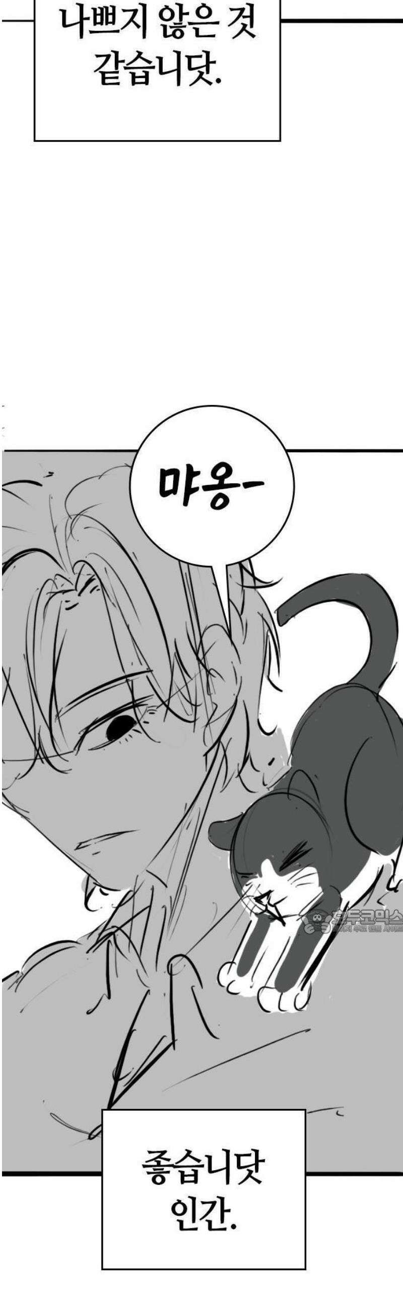 현실퀘스트 특별편 : 고양이의 언어 51