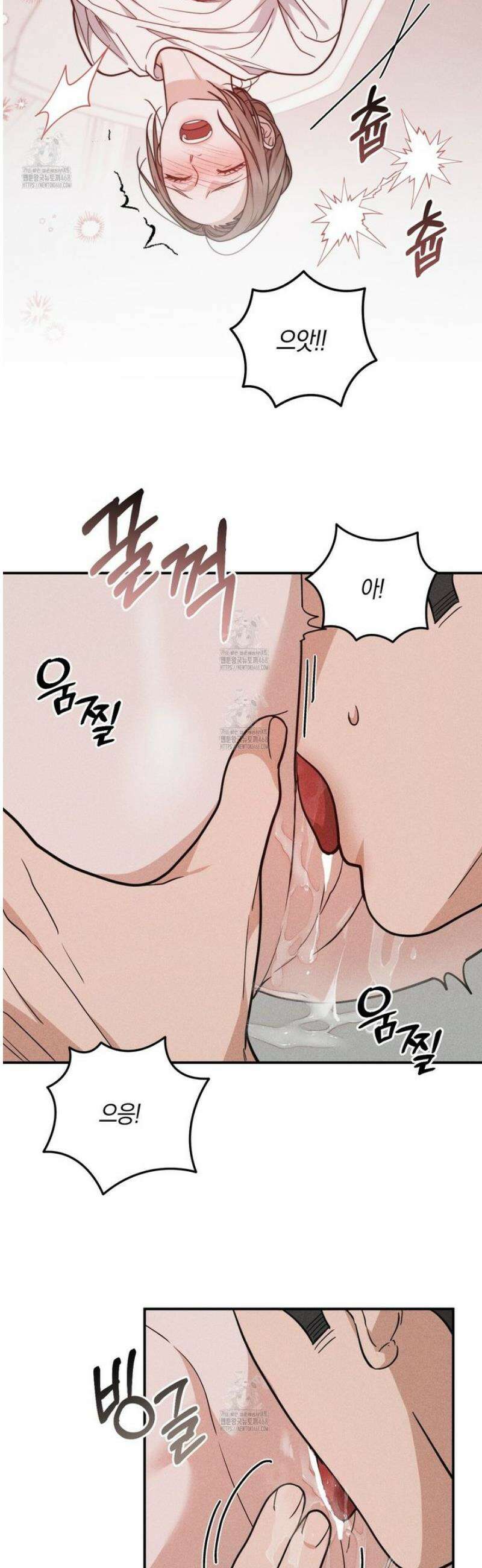 제비꽃 로망스 15화 [완결] 15