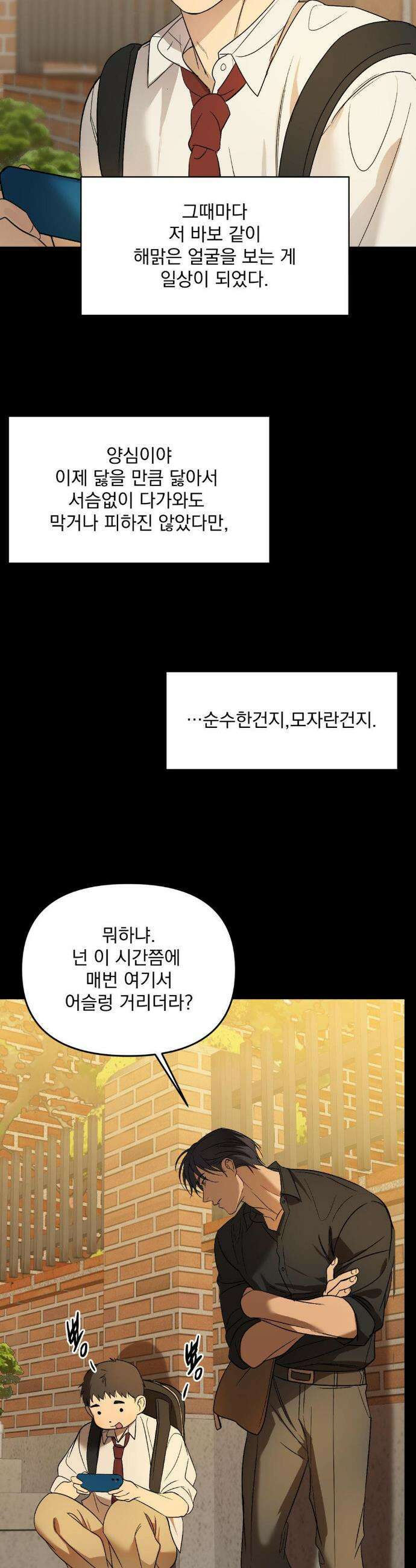 백라이트 51 21