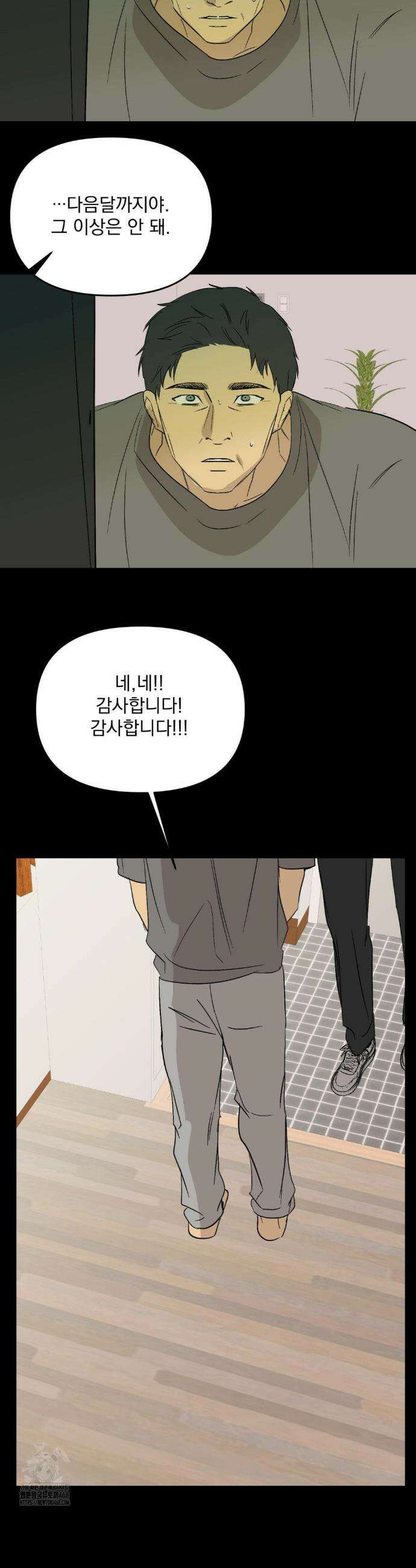 백라이트 51 33