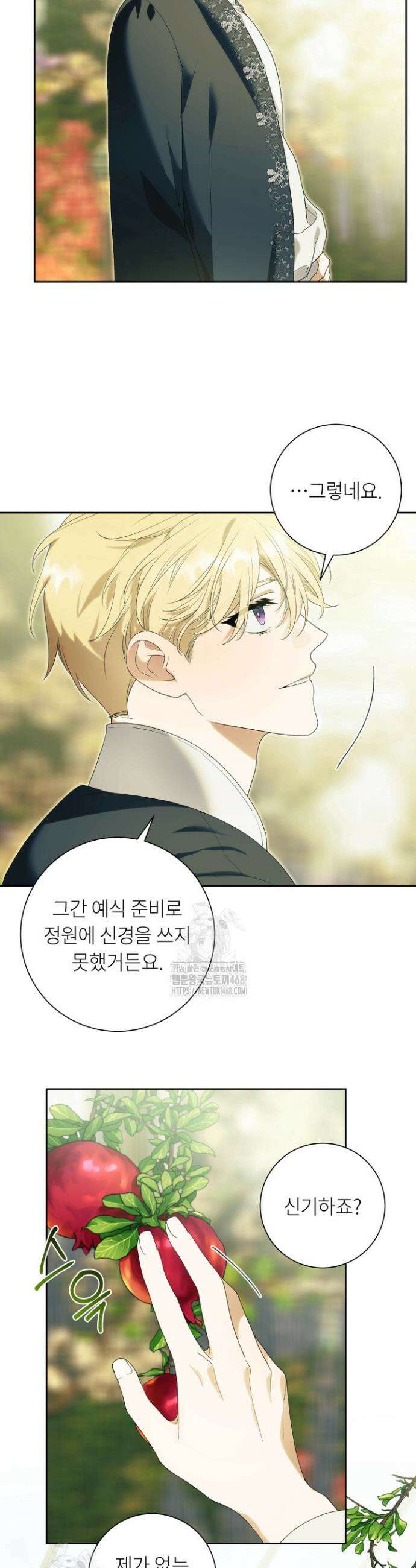 파테라 7화 24