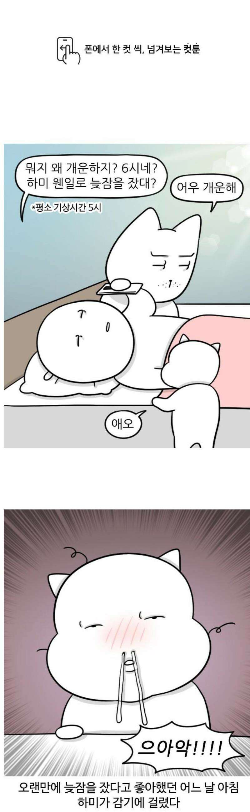 육아일기 시즌2 31화 여름 감기 1