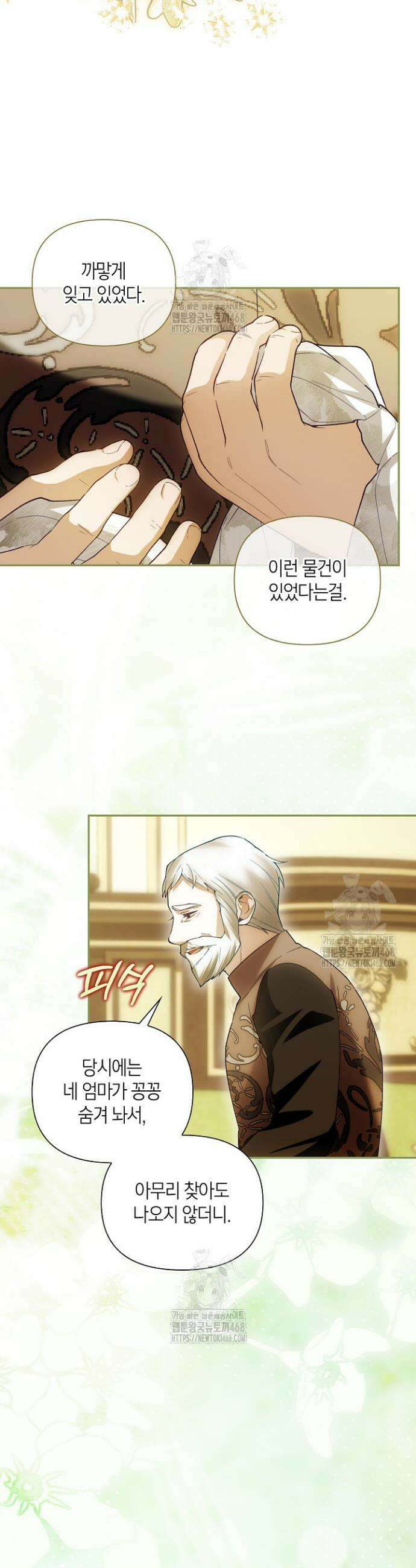 황제의 아이를 숨기는 방법 외전 9화 2