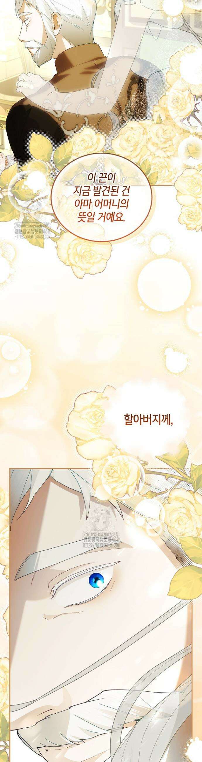 황제의 아이를 숨기는 방법 외전 9화 4