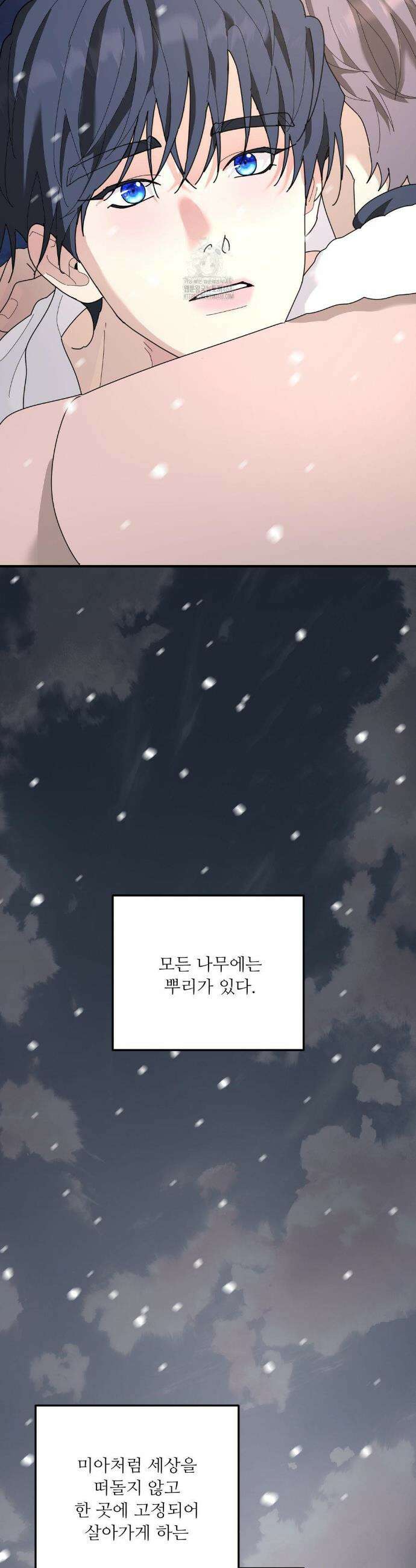 뿌리 없는 나무 97화(2부 최종화) 32