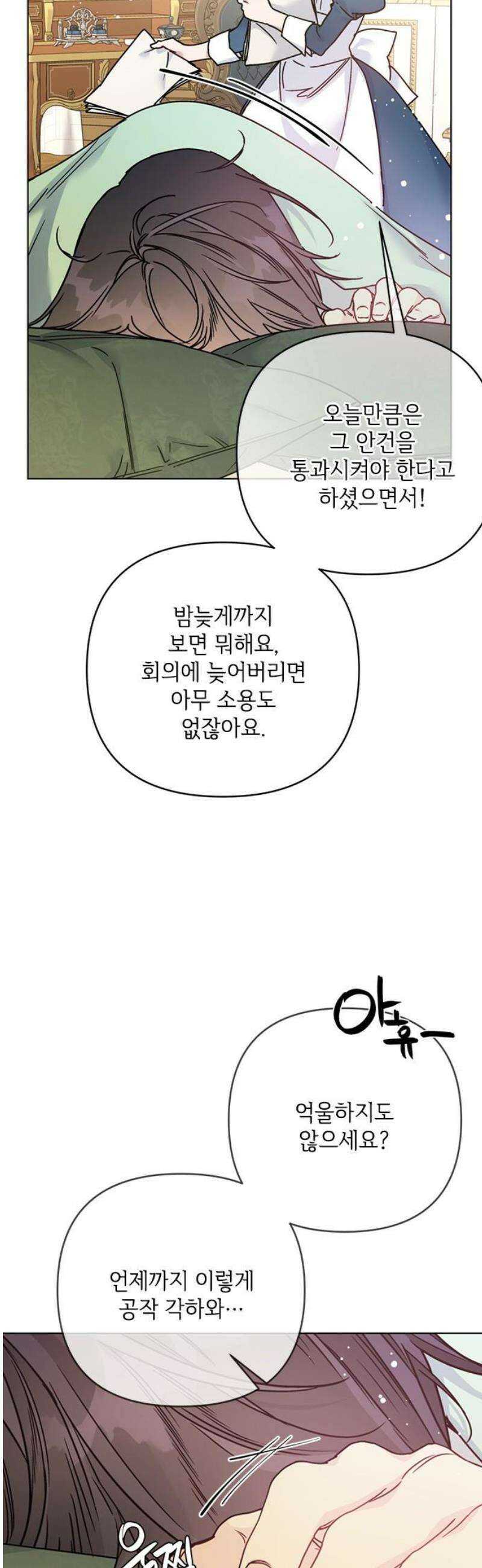 그 기사가 레이디로 사는 법 외전 1 : 아이딘 백작 3