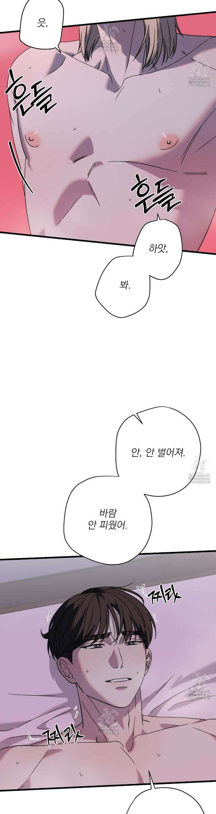 캔디 계약서 외전 8화 2