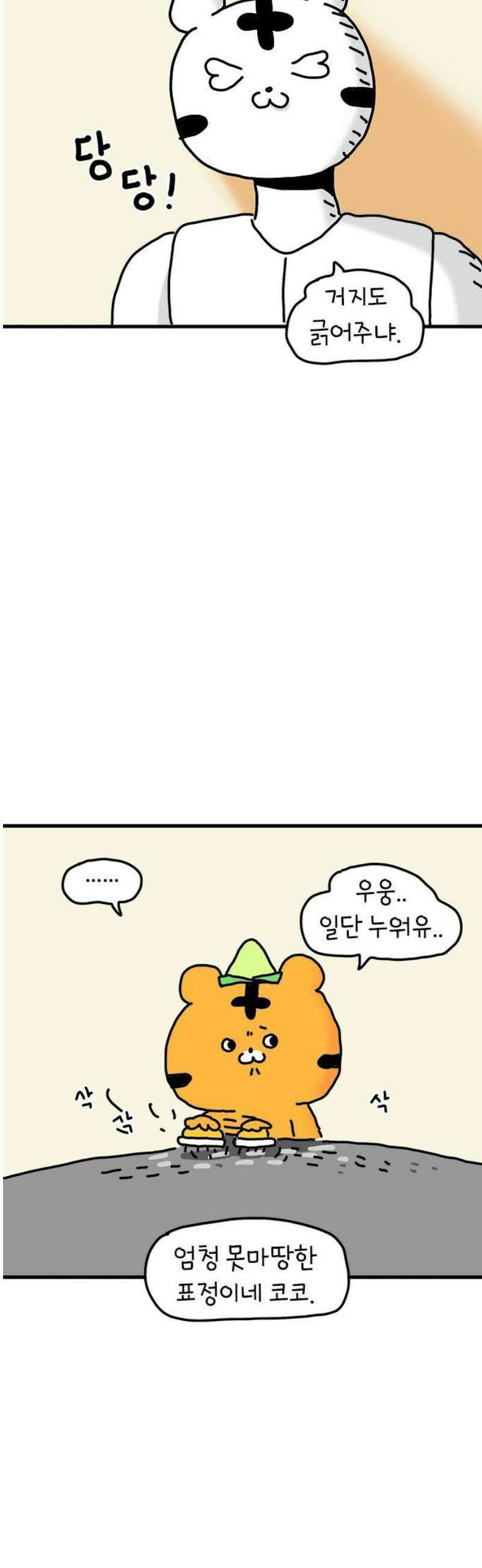 소심한 호랭이 코코 53화 멋돌이 타이거 (2) 3