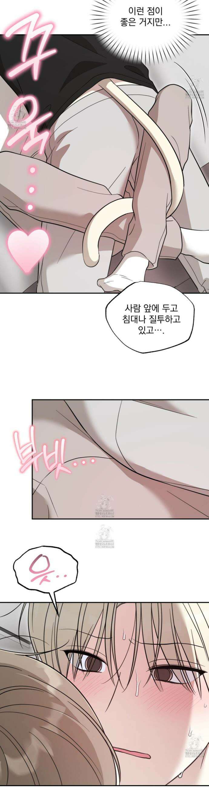 냥자친구 길들이기 25화(시즌 1 최종화) 3