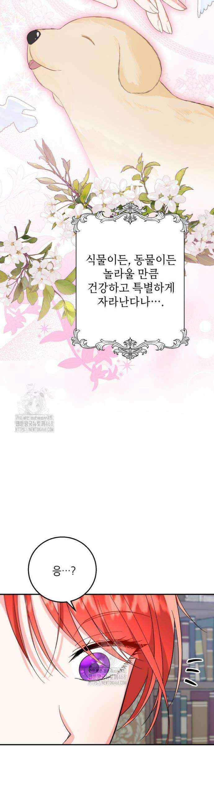 주인공을 입양했더니 장르가 바뀌었다 14화 5