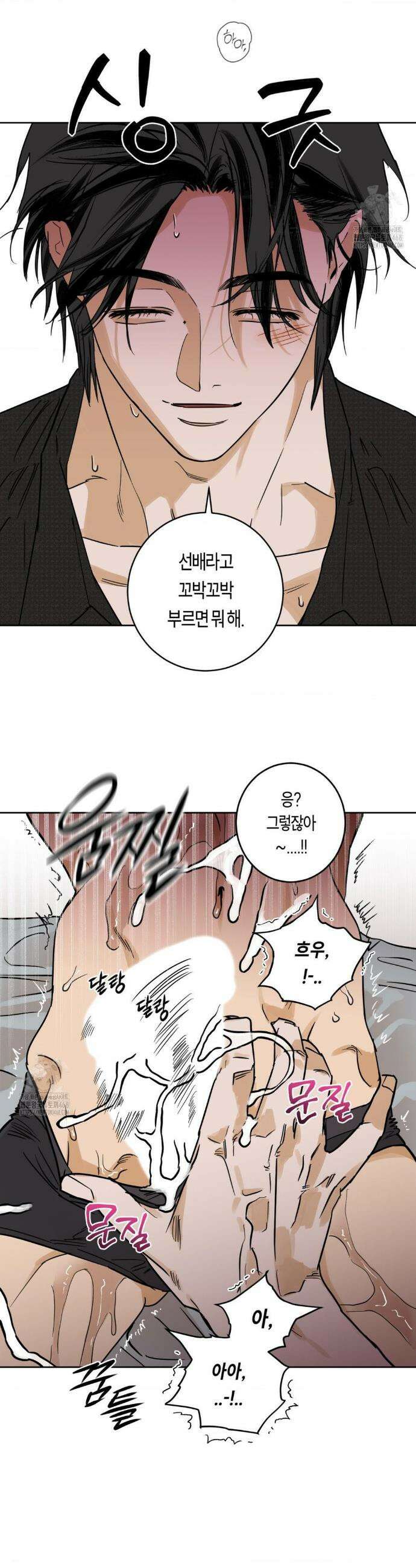 풀북 11화 2