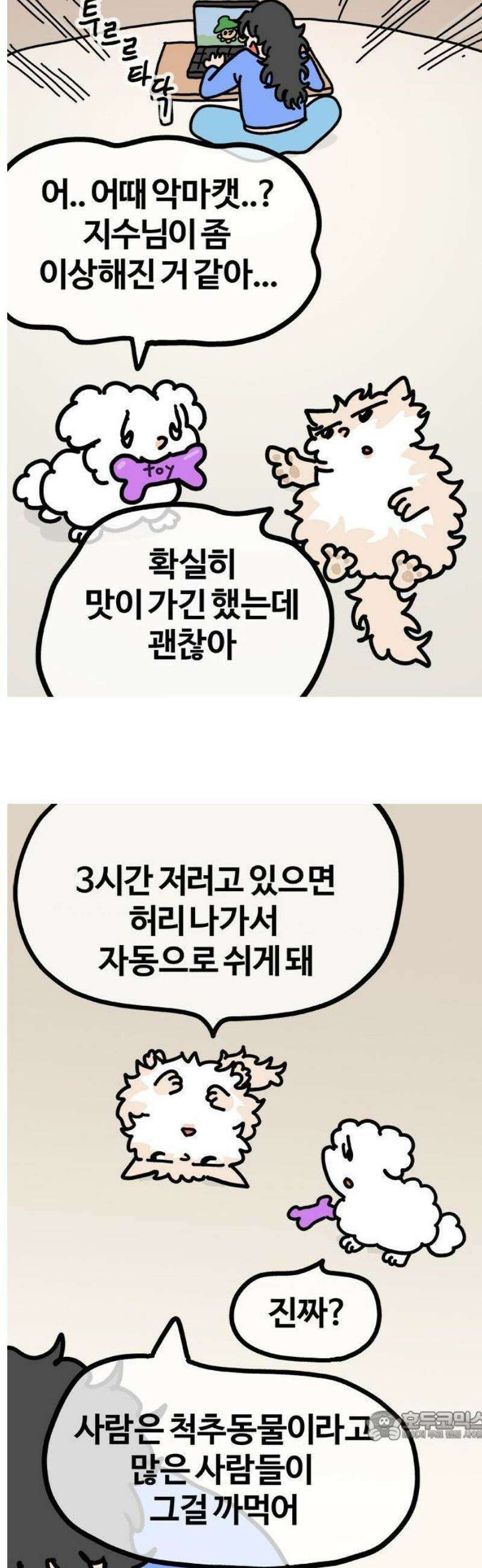 천사개와 악마캣 44화 변하고싶어잉 3