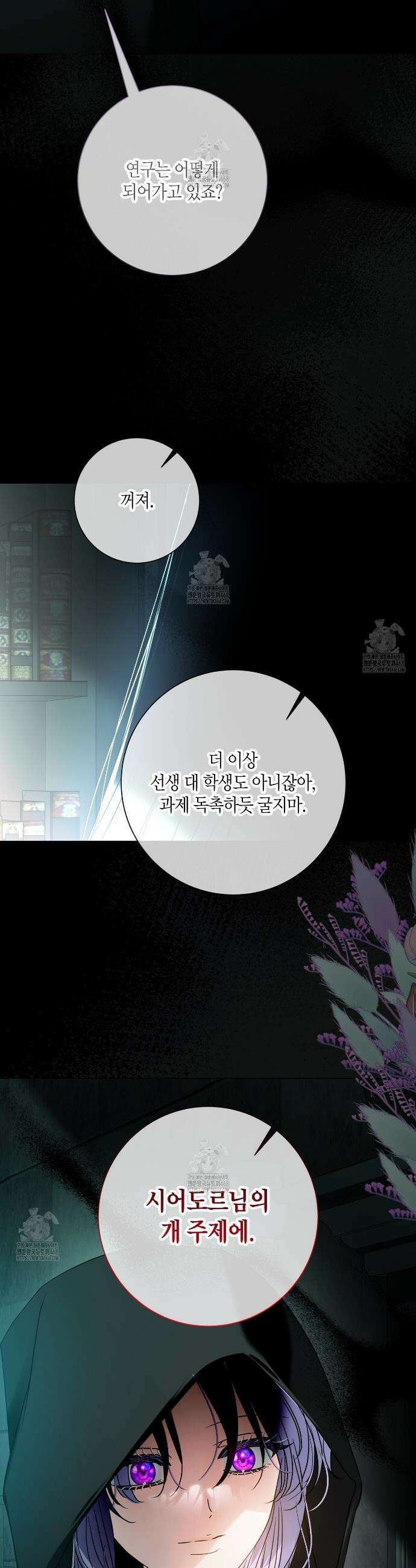 제발 에밀리 영애는 내버려 두세요 73화 15