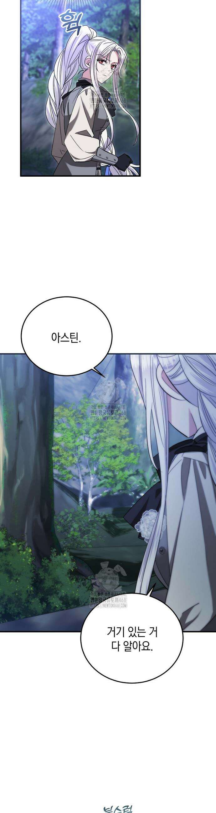 영웅은 됐어요, 은퇴라면 몰라도 87화 13