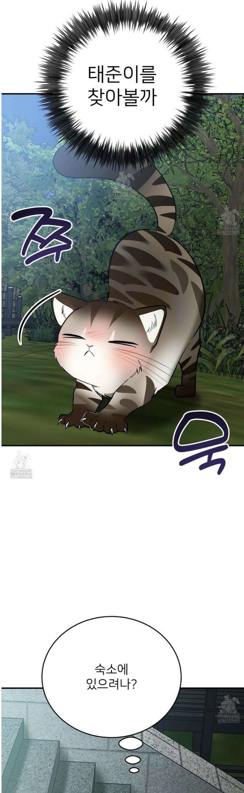 아기 삵을 낳아줘, 나 미치는 꼴 보기 싫으면! 12화 2