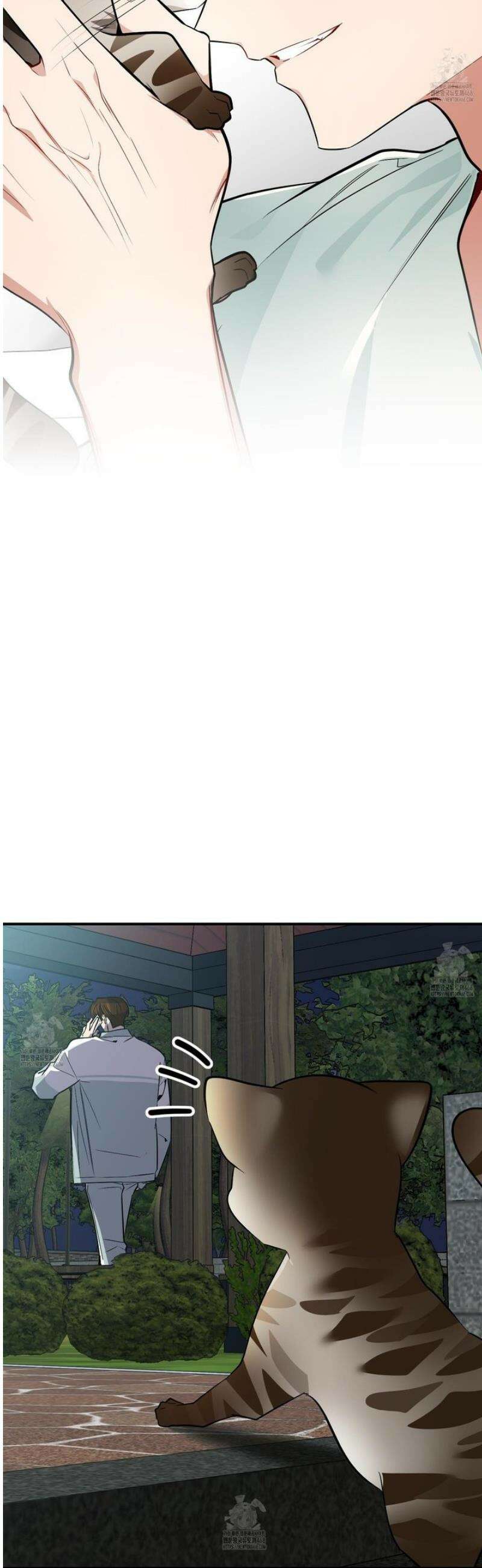 아기 삵을 낳아줘, 나 미치는 꼴 보기 싫으면! 12화 5
