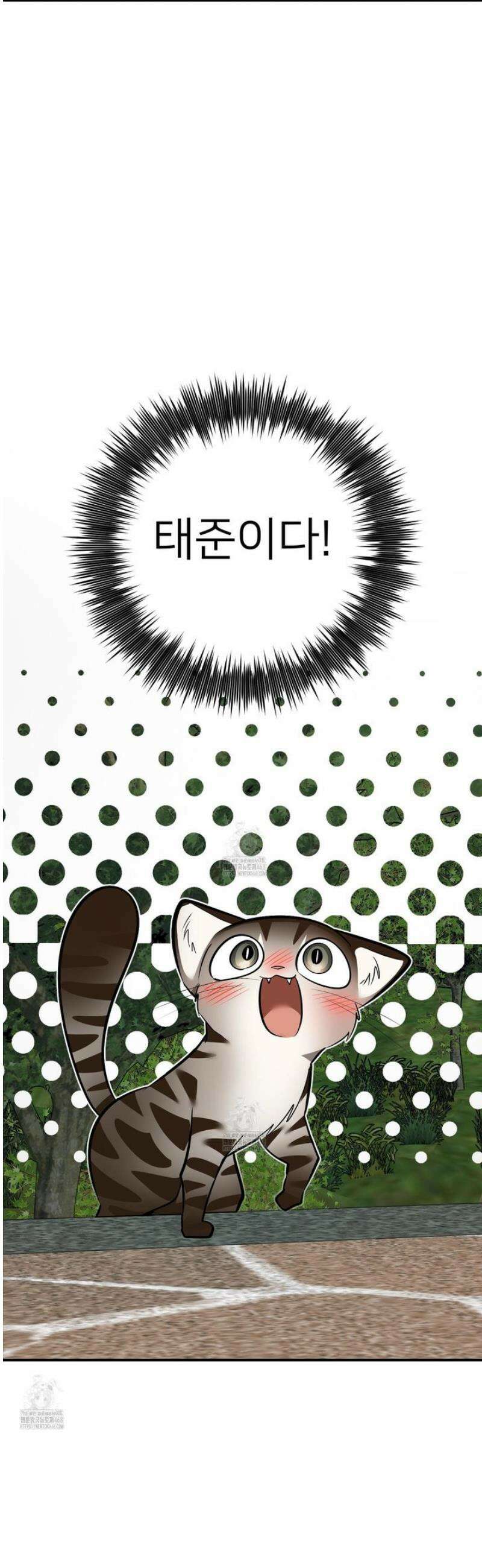 아기 삵을 낳아줘, 나 미치는 꼴 보기 싫으면! 12화 6