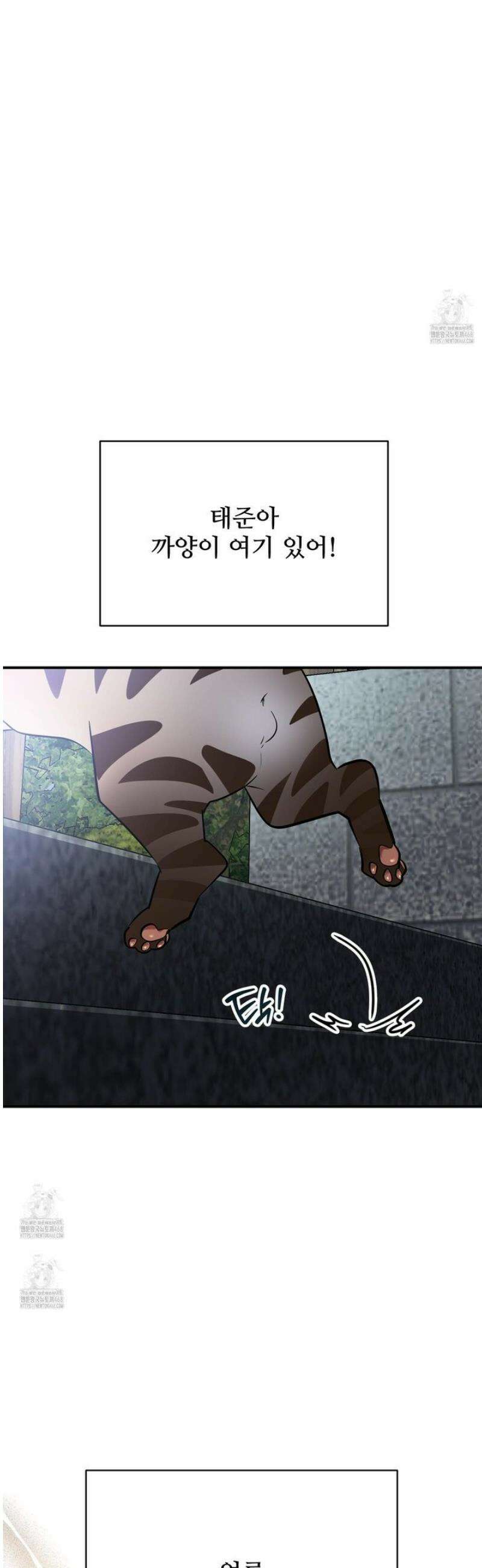 아기 삵을 낳아줘, 나 미치는 꼴 보기 싫으면! 12화 7