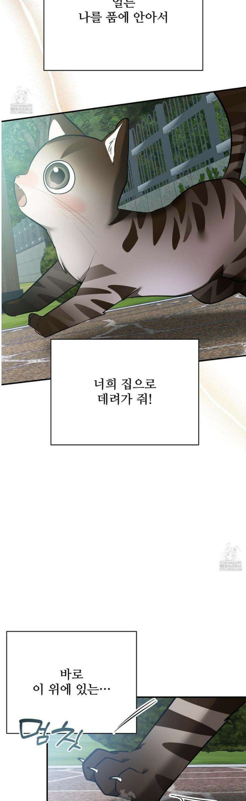 아기 삵을 낳아줘, 나 미치는 꼴 보기 싫으면! 12화 8